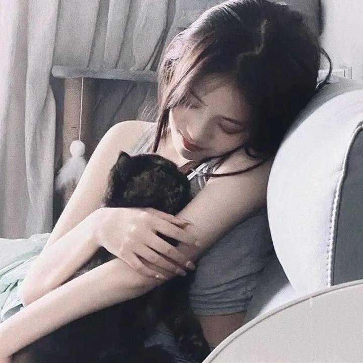 哈兰·科本的庇护所